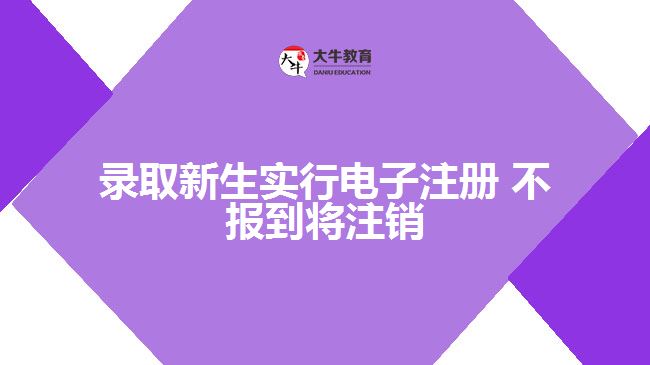 廣州成考報名 廣州成考報名