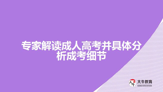 成人高考是什么？