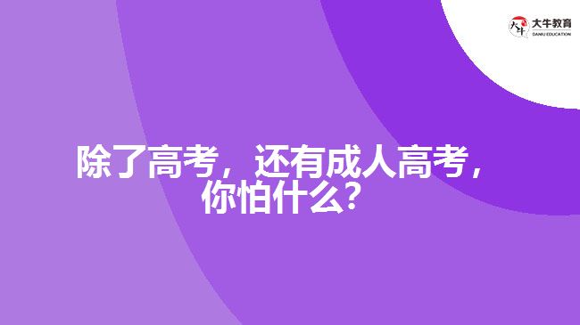 除了高考，還有成人高考，你怕什么？