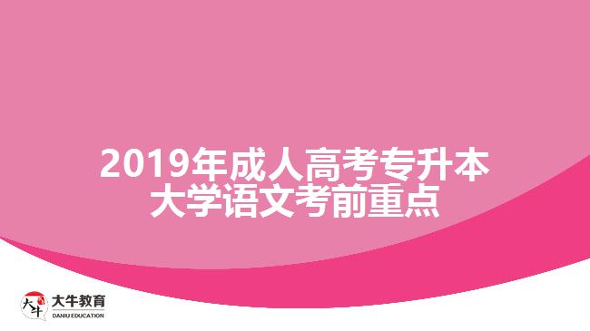 2019年成人高考專升本語文考前重點(diǎn)