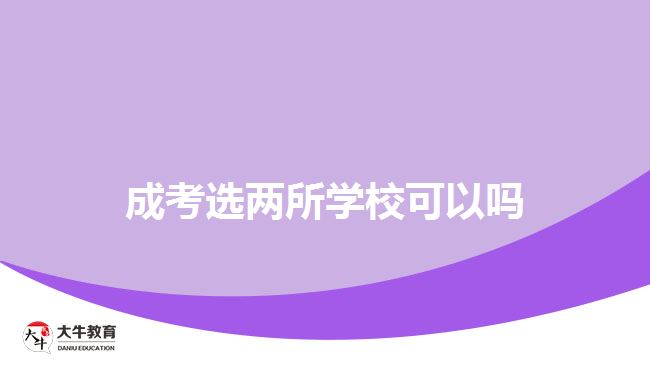 成考選兩所學(xué)校可以嗎
