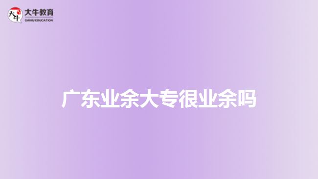 廣東業(yè)余大專(zhuān)很業(yè)余嗎