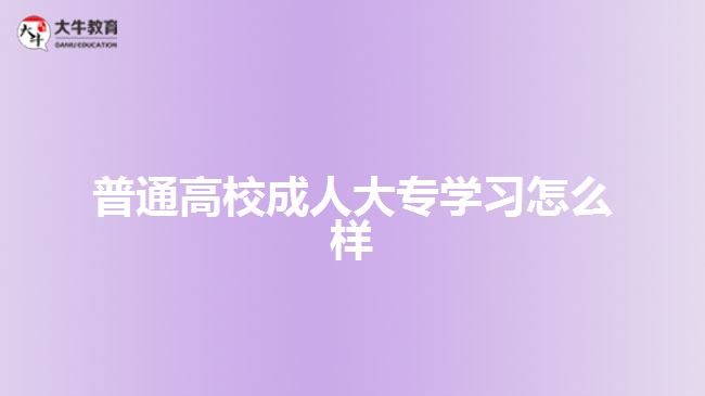 普通高校成人大專(zhuān)學(xué)習(xí)怎么樣
