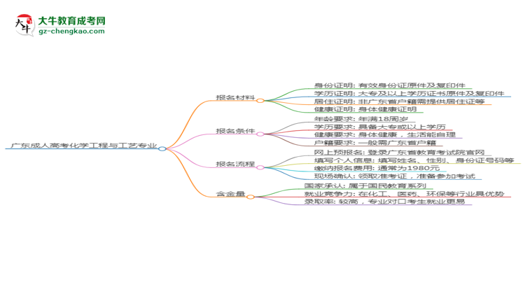 廣東2025年成人高考化學(xué)工程與工藝專業(yè)學(xué)歷能考公嗎？思維導(dǎo)圖