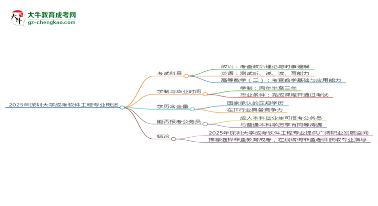 2025年深圳大學(xué)成考軟件工程專業(yè)入學(xué)考試科目有哪些？思維導(dǎo)圖