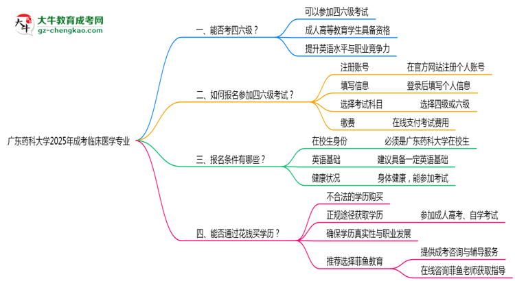 廣東藥科大學(xué)2025年成考臨床醫(yī)學(xué)專業(yè)生可不可以考四六級？思維導(dǎo)圖