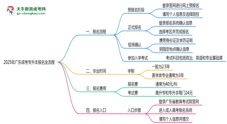 3分鐘讀懂：2025廣東成考專升本本科報名全流程思維導(dǎo)圖