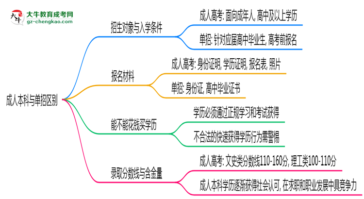 成人本科與單招區(qū)別在哪？2025年深圳考生必看對(duì)比指南思維導(dǎo)圖