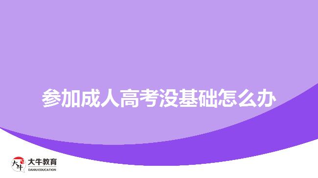 參加成人高考沒基礎怎么辦