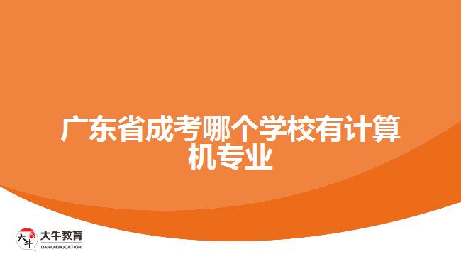 廣東省成考哪個學校有計算機專業(yè)