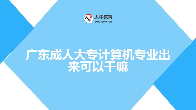 廣東成人大專計算機專業(yè)出來可以干嘛