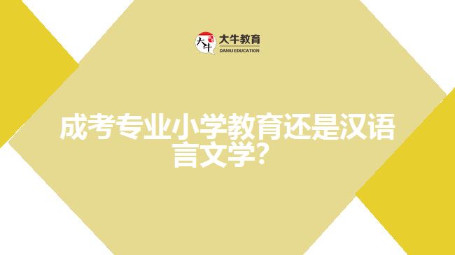成考小學(xué)教育還是漢語(yǔ)言文學(xué)？