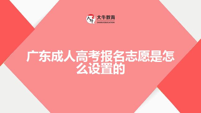 廣東成人高考報名志愿是怎么設置的
