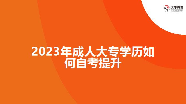 2023年成人大專學歷如何自考提升