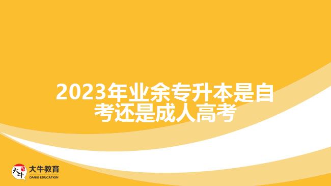 2023年業(yè)余專升本是自考還是成人高考