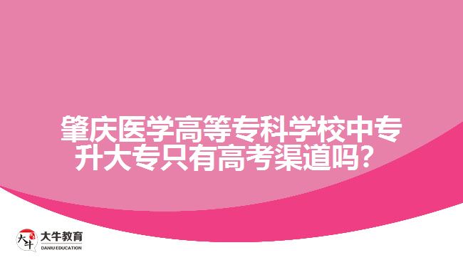 肇慶醫(yī)學(xué)高等專科學(xué)校中專升大專只有高考渠道嗎？