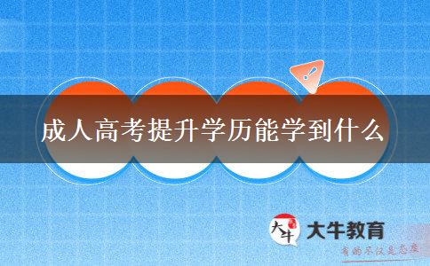 成人高考提升學歷能學到什么