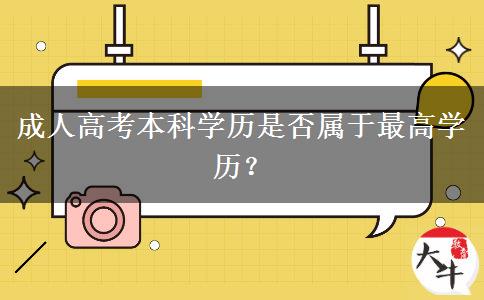 成人高考本科學(xué)歷是否屬于最高學(xué)歷？