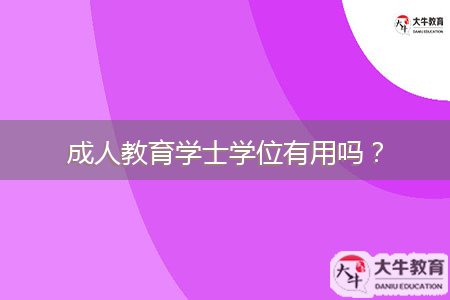 成人教育學(xué)士學(xué)位有用嗎?