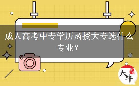 成人高考中專學(xué)歷函授大專選什么專業(yè)？