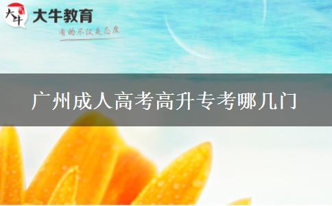 廣州成人高考高升?？寄膸组T