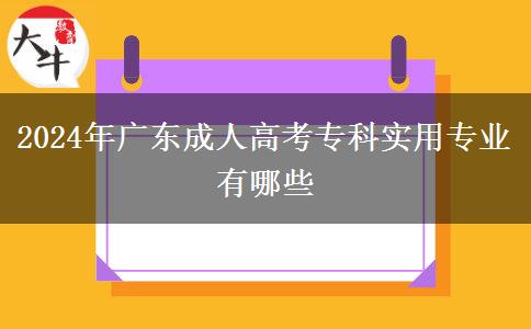 2024年廣東成人高考?？茖?shí)用專業(yè)有哪些