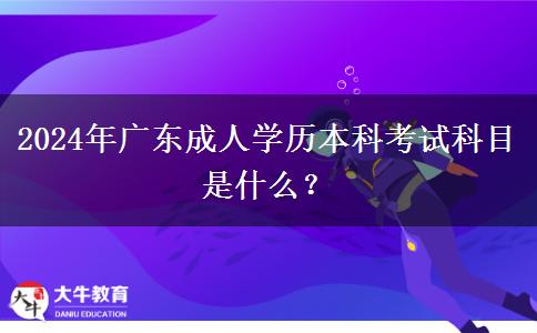 2024年廣東成人學(xué)歷本科考試科目是什么？