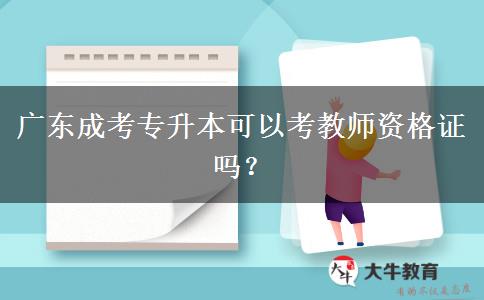 廣東成考專升本可以考教師資格證嗎？