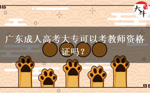 廣東成人高考大專可以考教師資格證嗎？