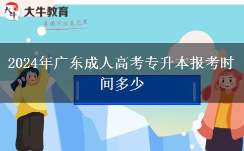 2024年廣東成人高考專升本報(bào)考時(shí)間多少 2024年廣東成人高考專升本報(bào)考時(shí)間多少
