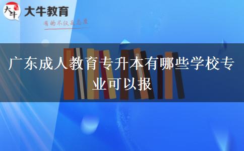 廣東成人教育專升本有哪些學(xué)校專業(yè)可以報(bào)