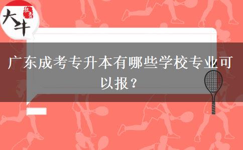廣東成考專升本有哪些學(xué)校專業(yè)可以報(bào)？