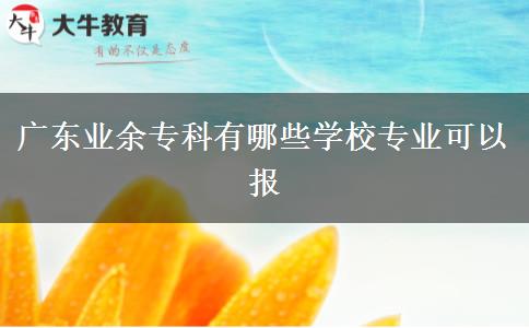 廣東業(yè)余?？朴心男W校專業(yè)可以報