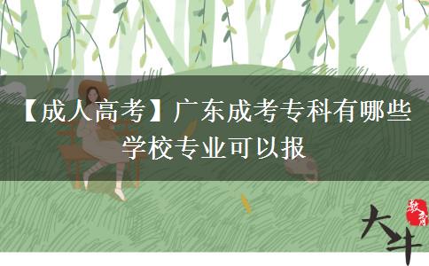 【成人高考】廣東成考?？朴心男W(xué)校專業(yè)可以報(bào)