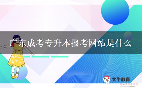 廣東成考專升本報考網站是什么