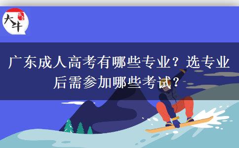 廣東成人高考有哪些專業(yè)？選專業(yè)后需參加哪些考試？
