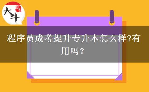 程序員成考提升專升本怎么樣?有用嗎？