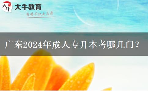 廣東2024年成人專升本考哪幾門？