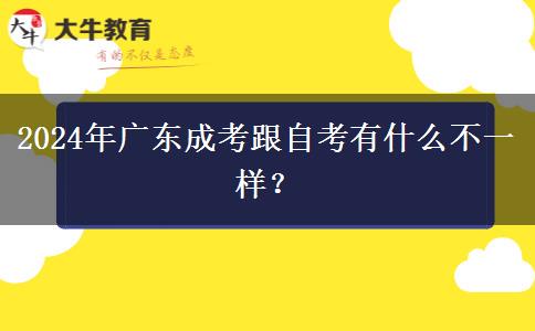 2024年廣東成考跟自考有什么不一樣？