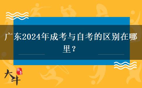 廣東2024年成考與自考的區(qū)別在哪里？