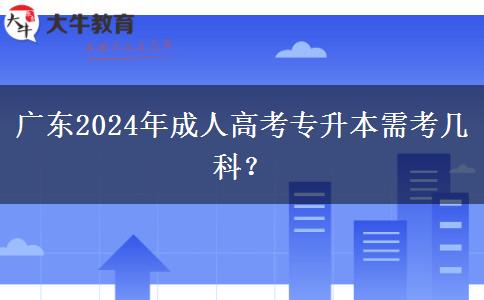 廣東2024年成人高考專升本需考幾科？