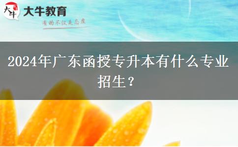 2024年廣東函授專升本有什么專業(yè)招生？