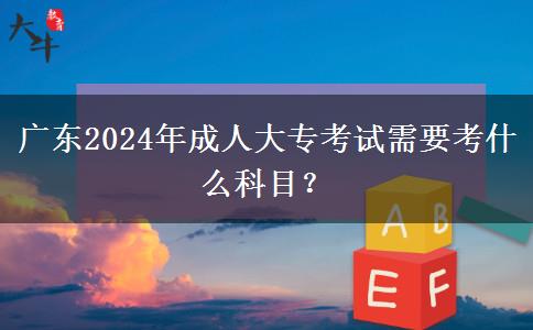 廣東2024年成人大?？荚囆枰际裁纯颇?？