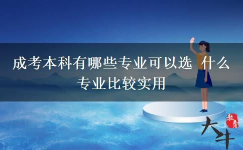 成考本科有哪些專業(yè)可以選 什么專業(yè)比較實(shí)用