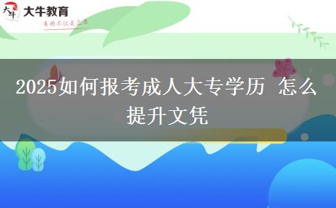 2025如何報(bào)考成人大專學(xué)歷 怎么提升文憑