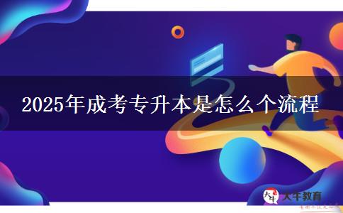 2025年成考專升本是怎么個(gè)流程