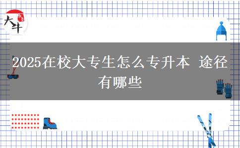 2025在校大專(zhuān)生怎么專(zhuān)升本 途徑有哪些