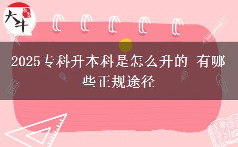 2025?？粕究剖窃趺瓷?有哪些正規(guī)途徑