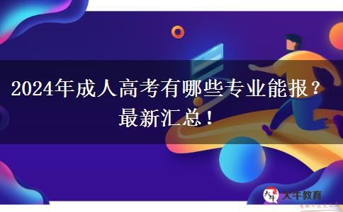 2024年成人高考有哪些專業(yè)能報(bào)？最新匯總！