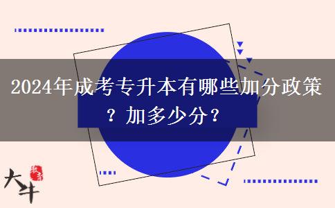 2024年成考專升本有哪些加分政策？加多少分？